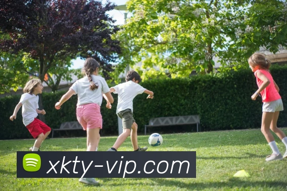 App Interface Preview