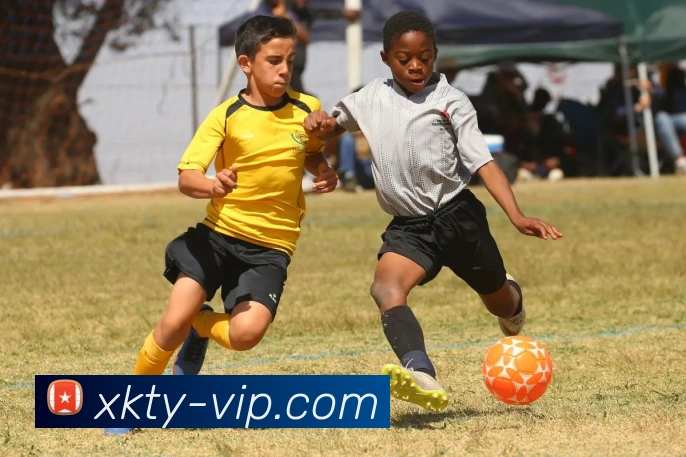 星空体育app:引领数字化竞技内容传播与交互的新标准APP 封面图